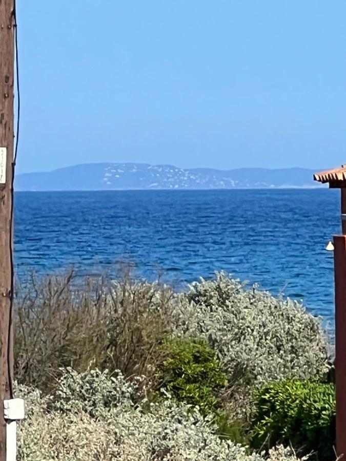 Plein Sud, Bel Appartement 20 Metres De La Plage La Capte Hyeres Bagian luar foto